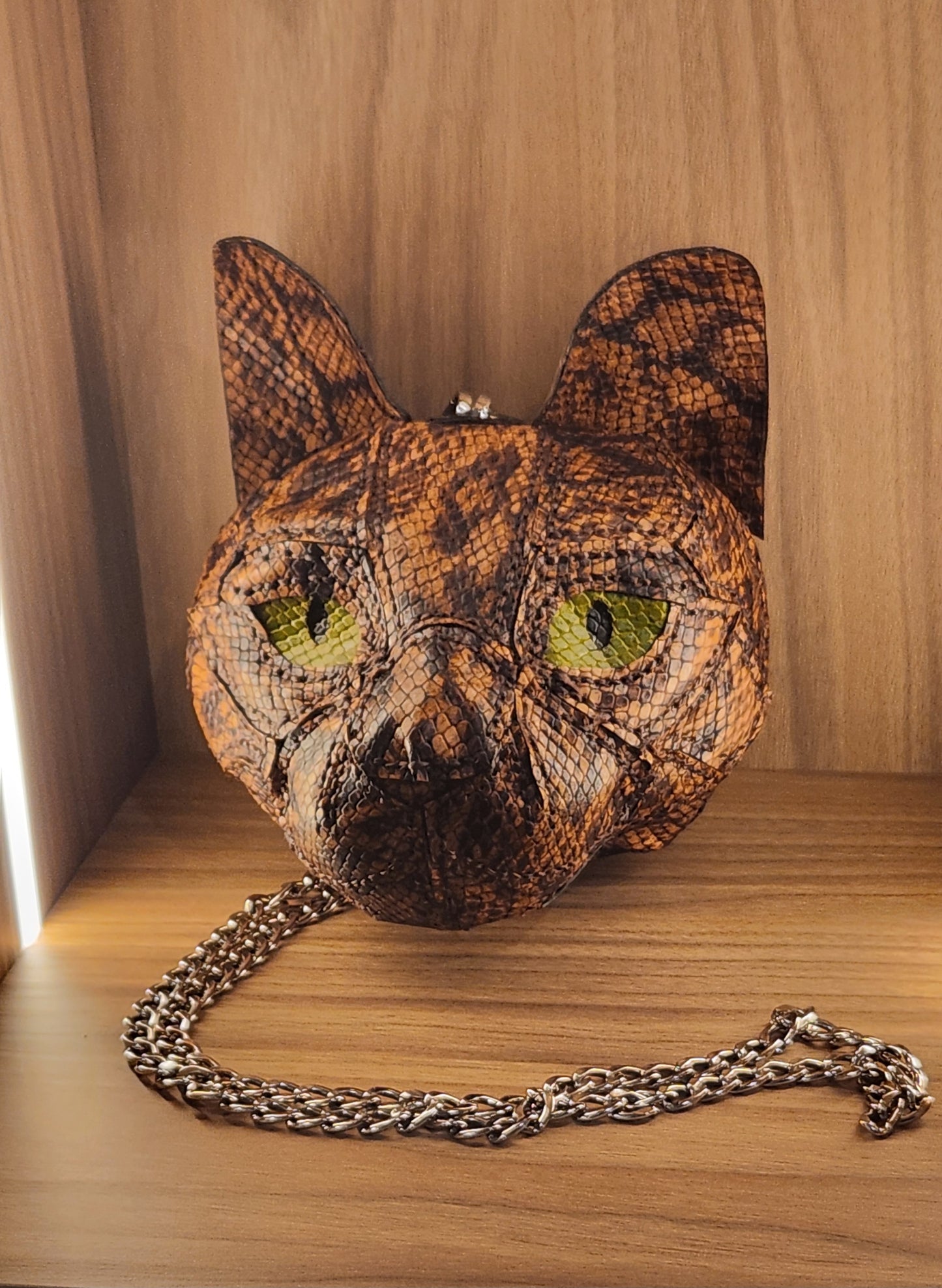 Tabby Cat