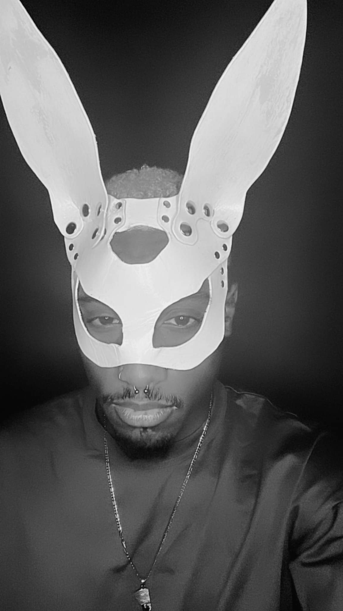 3-in-1 Mask